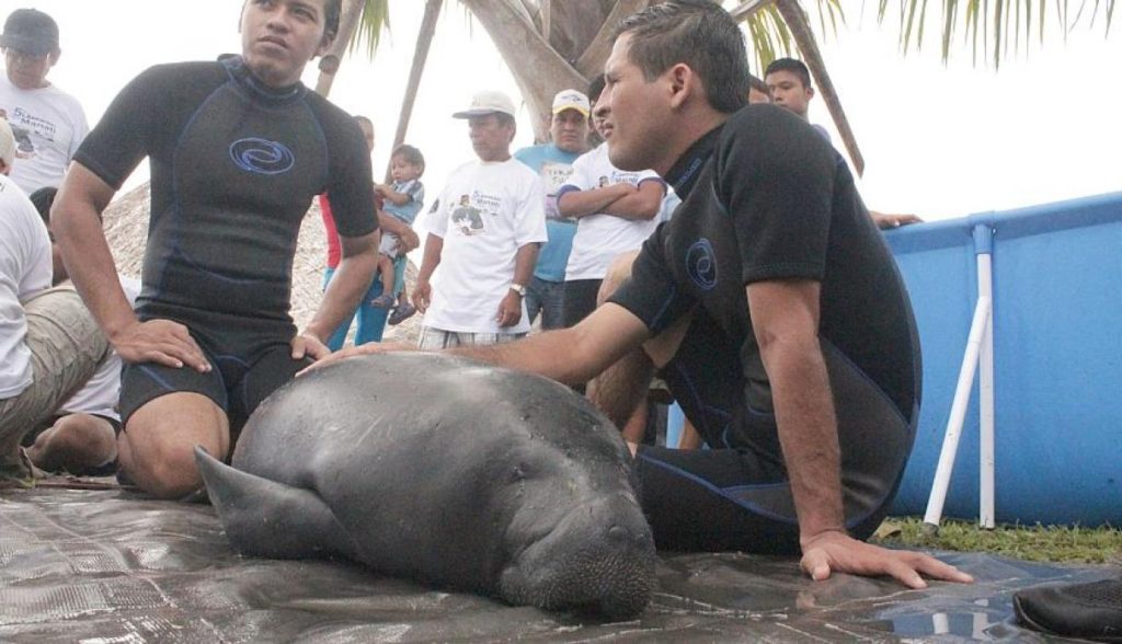 58d1cb183705d The Dallas World Aquarium