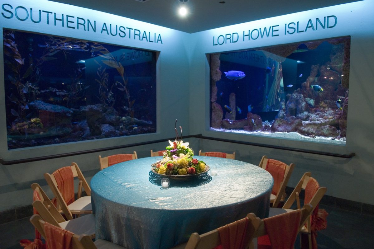 Room Reef 2 Room Reef 2