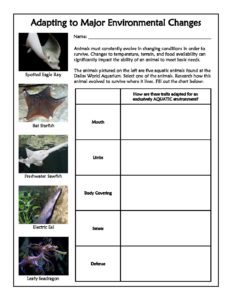 9-12 Pre-Field Trip Lesson – Adaptating to Major Environmental Changes  Worksheet Packet – The Dallas World Aquarium