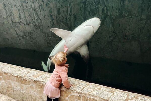 Little girl with shark